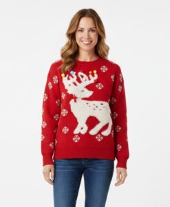 Top Christmas 3D Reindeer Knit Sweater, 2 Assorted